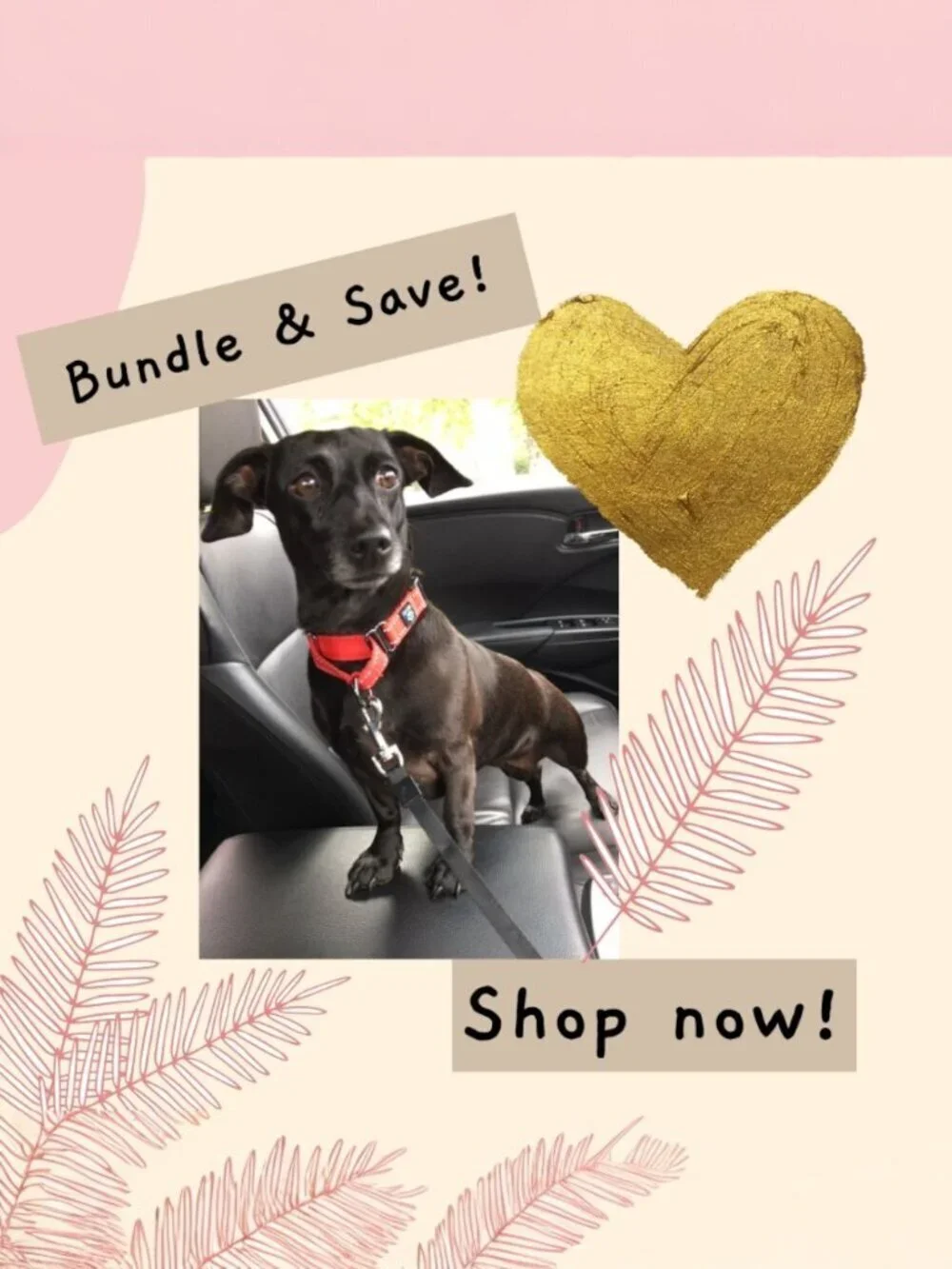 Bundle & Save | Fast Shipping - Picture 1 of 1